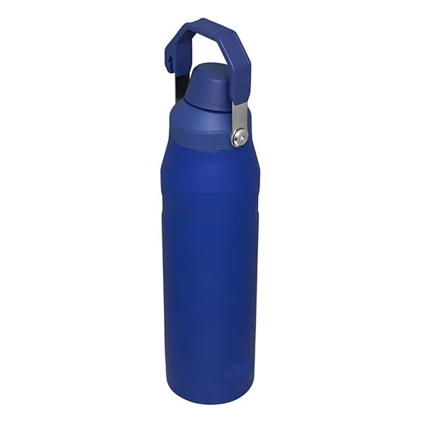 18oz Stainless Steel Spout Bottle