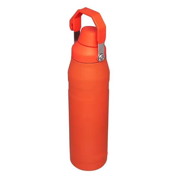 18oz Stainless Steel Spout Bottle
