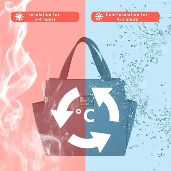 Leakproof Insulated Lunch Bag