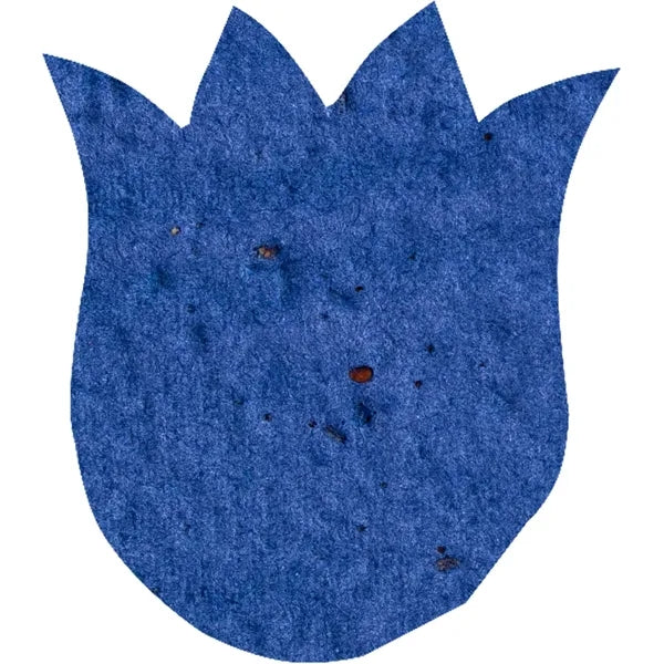 Plant-A-Shape Confetti Packet