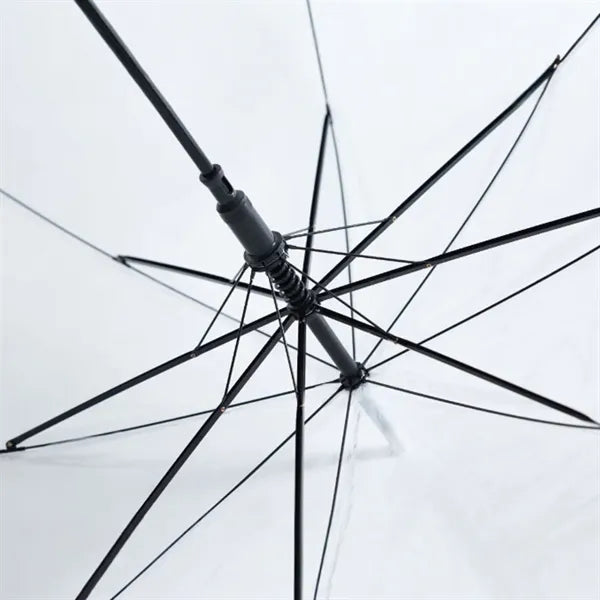 Transparent Umbrella