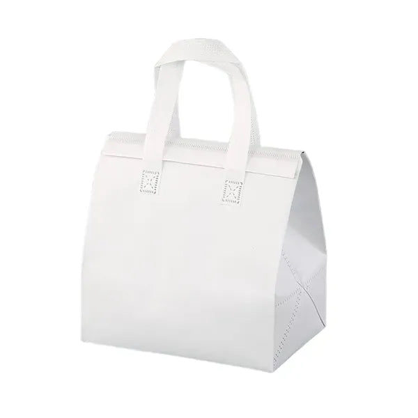 Insulated Lunch Carry Bag