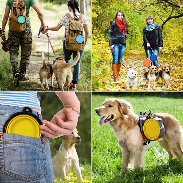 Dog Pet Collapsible Bowls
