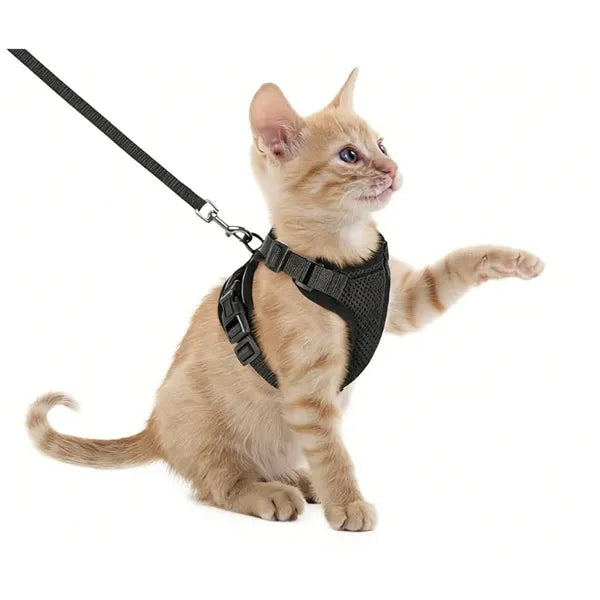 AirFit Breathable Cat Harness Set