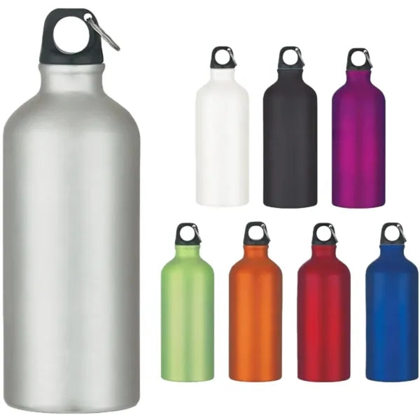 25oz Aluminum Water Bottle with Carabiner Clip for Active