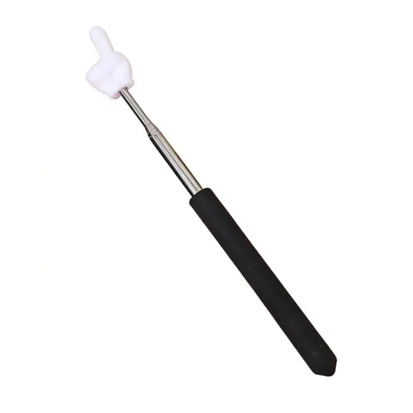Extendable Hand Teaching Pointer Stick