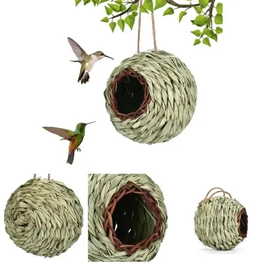 Wild Bird Nesting