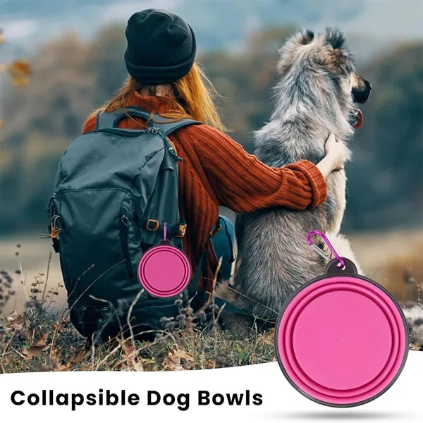 Collapsible Dog Bowl