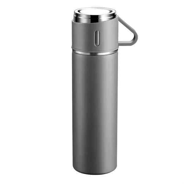 16.9 oz Vacuum Insulated Bottle with Cup Lid