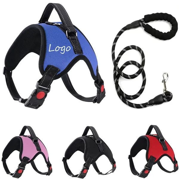 Leash and Pet Harness