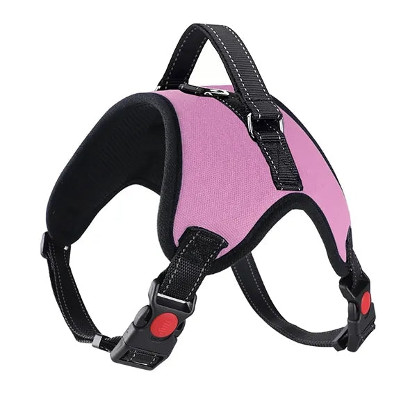 Leash and Pet Harness