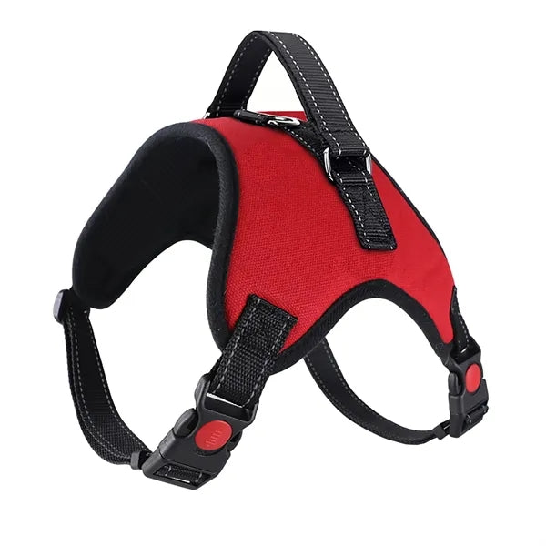 Leash and Pet Harness