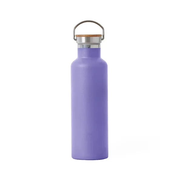 Classic 25oz Stainless Steel Water Bottle