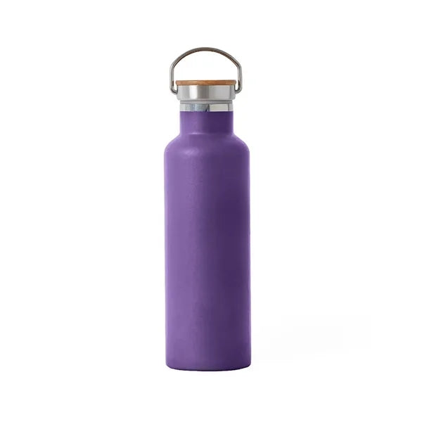 Classic 25oz Stainless Steel Water Bottle