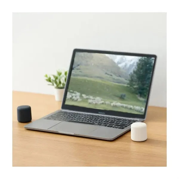 Mini Wireless Bluetooth Speaker