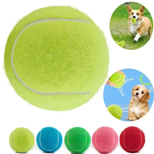 Professional Tennis Ball Pet Fetch Toy