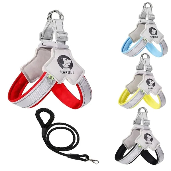 Dog leash set