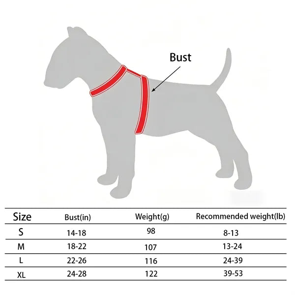 Dog leash set