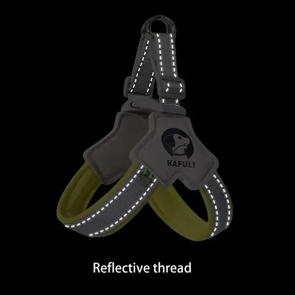 Dog leash set
