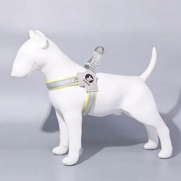 Dog leash set