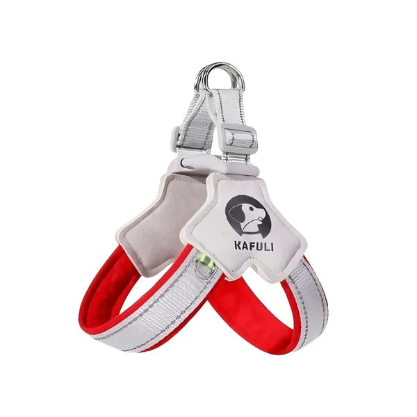 Dog leash set