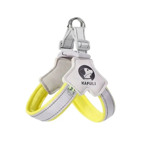 Dog leash set