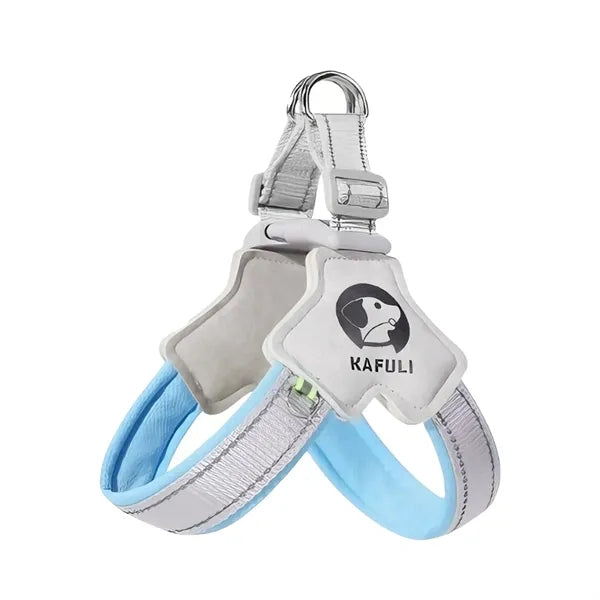 Dog leash set