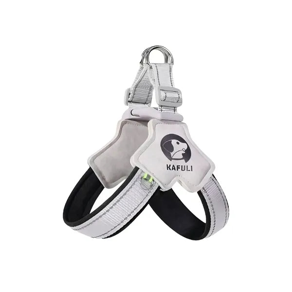 Dog leash set