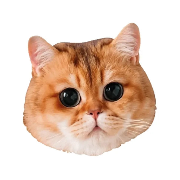 48x24 Custom Big Head Cutouts Cat Face