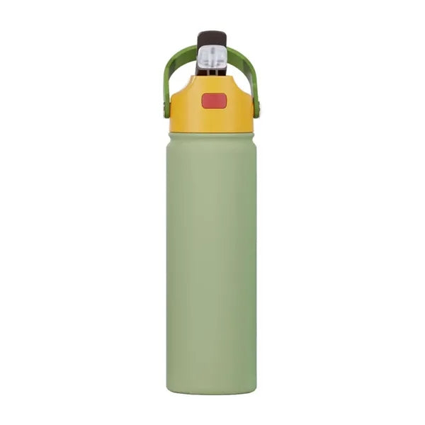 22oz Stainless Steel Insulated Bottle