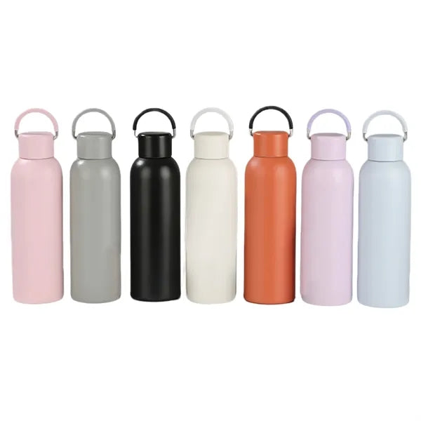 20 Oz. Water Bottle Double Insulated Stainless Steel