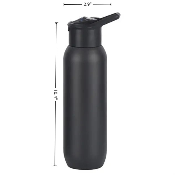 20 OZ Stainless Steel Drinking Bottle with Straw