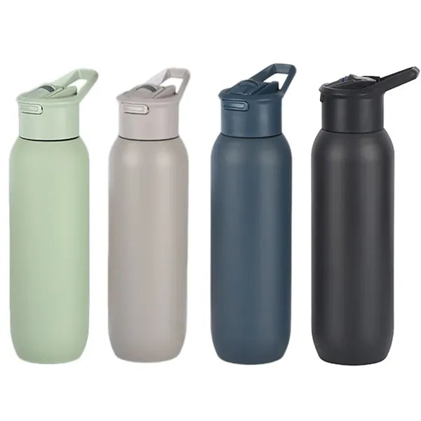 20 OZ Stainless Steel Drinking Bottle with Straw