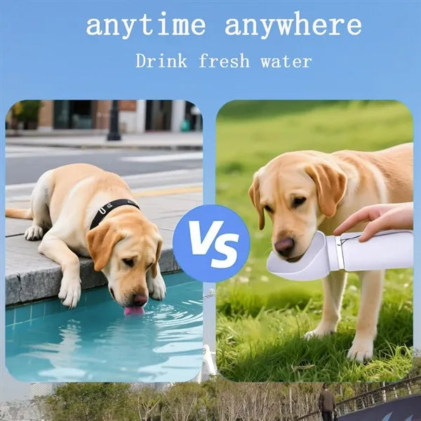 5oz Collapsible Dog Water Bottle Drinking Bowl