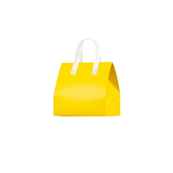 Non-Woven Insulated Lunch Bag