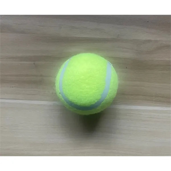 Dog Ball thrower