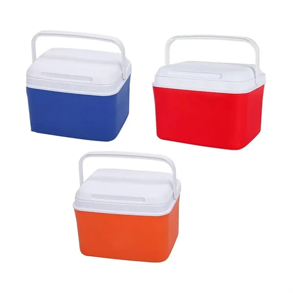 4.5L Portable Outdoor Insulated Cooler Box