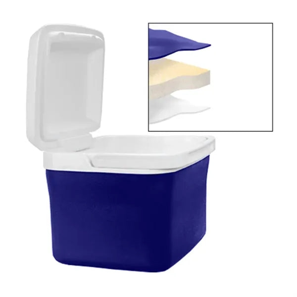 4.5L Portable Outdoor Insulated Cooler Box