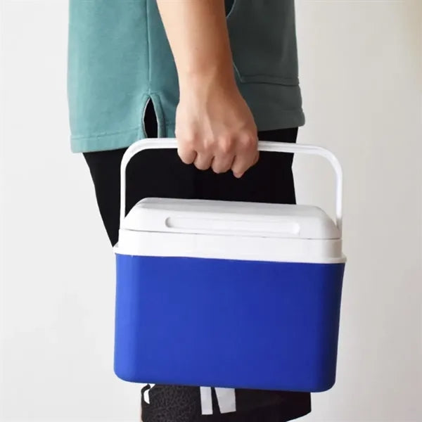 4.5L Portable Outdoor Insulated Cooler Box