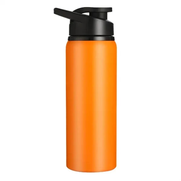 24oz Insulated Stainless Steel Sport Bottle with Straw