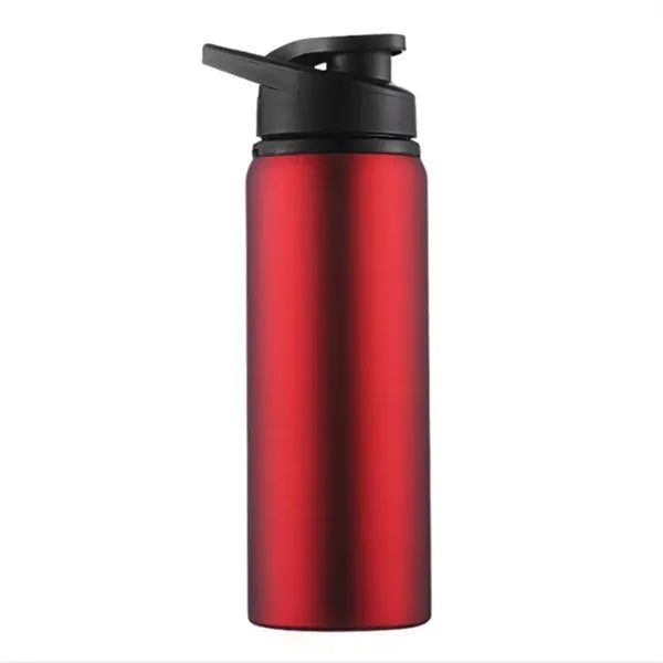 24oz Insulated Stainless Steel Sport Bottle with Straw