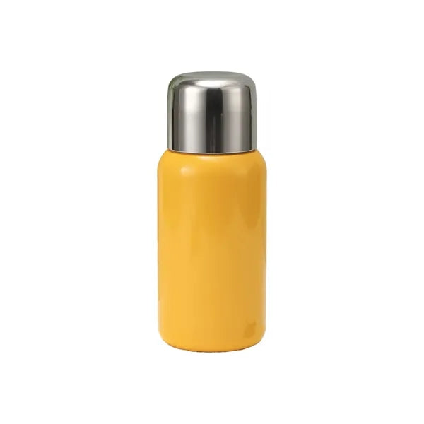 17.6oz Outdoor Mini Portable Stainless Steel Insulated Bottl