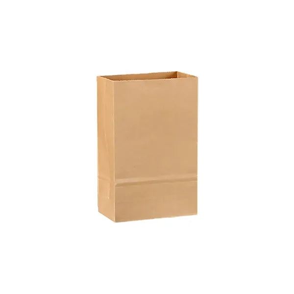 Disposable Lunch Food Snacks Paper Bag