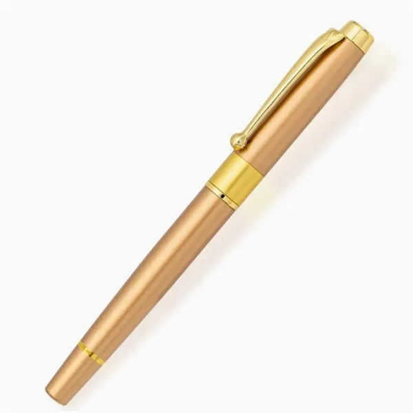 High aesthetic signature pen