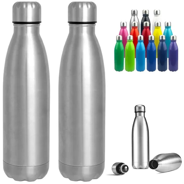 25 oz. Stainless Steel Double Wall Insulated Bottle