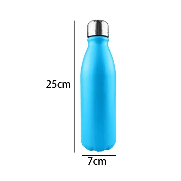 25 oz. Stainless Steel Double Wall Insulated Bottle