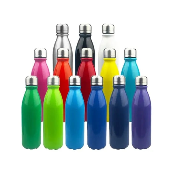 25 oz. Stainless Steel Double Wall Insulated Bottle