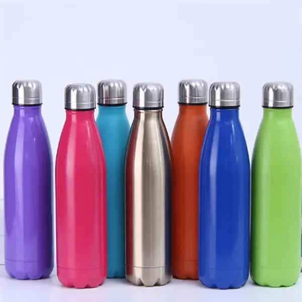 25 oz. Stainless Steel Double Wall Insulated Bottle