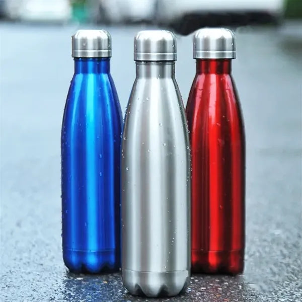 17 oz. Classic Stainless Steel Insulated Bottle