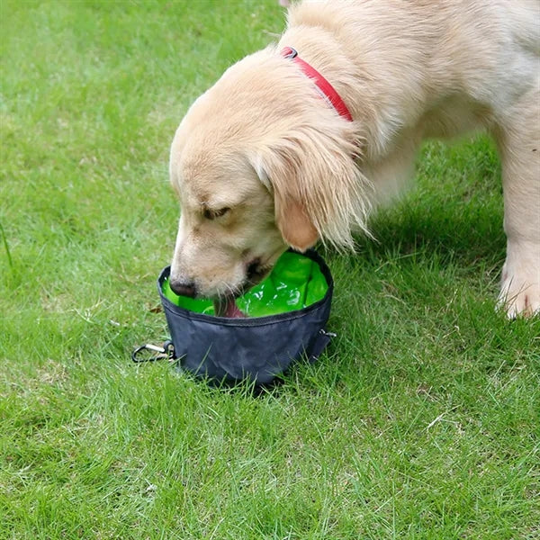Pet Bowl W/Carabiner